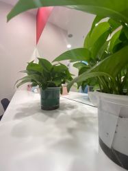 -晶奕空间专业脱毛连锁机构