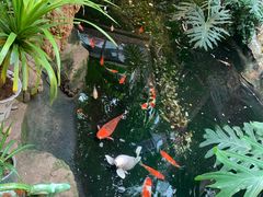 -聚缘堂·海鲜私房菜(松岭路店)