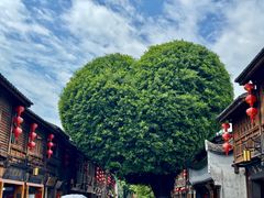 -三坊七巷历史文化街区