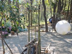 -沂蒙山旅游区云蒙景区(蒙山国家森林公园)