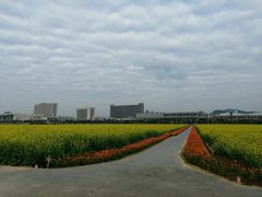 -光明小镇欢乐田园