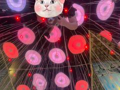 -梵高星空艺术馆(北京旗舰店)