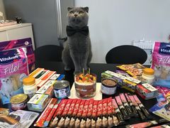 -卷心卷意·轻甜蛋糕(新光天地店)