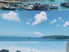-广东惠东海龟国家级自然保护区