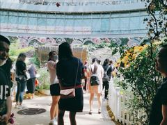 -花之城