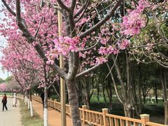 -凤凰沟景区