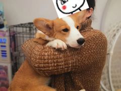 -浣熊柯尔鸭土拨鼠·电玩咖