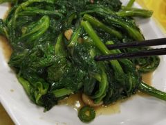 -金麒麟美食城