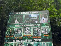 -西双版纳原始森林公园