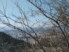 -东钱湖旅游度假区