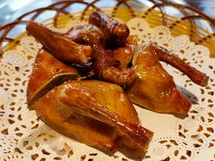 红烧乳鸽-旺金鸽(穗盐路总店)