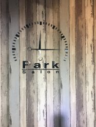 -Park Salon脏辫羽毛接发