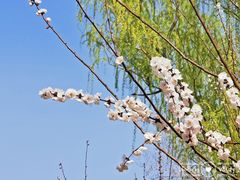 -南长河公园