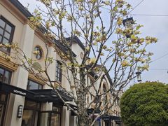 -比斯特苏州购物村精品奥特莱斯