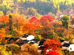 -塔川景区