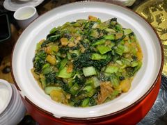 -老阿妈蒙古村·蒙古包·草原文化·歌舞表演(老君堂店)