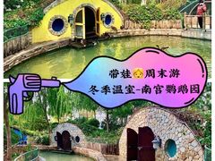 -南宫五洲植物乐园