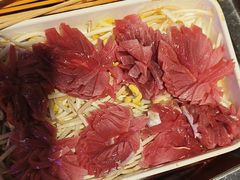 -钢管厂五区小郡肝火锅串串香(总店)
