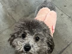 -观桥阁(锦溪店)