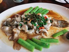 -猪肉婆私房菜(容桂总店)