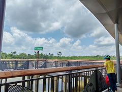 -东寨港红树林旅游区