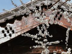 -三里河公园