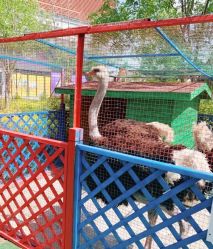 -萌宠亲子动物乐园(槐房万达店)