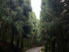 -山王坪喀斯特国家生态公园
