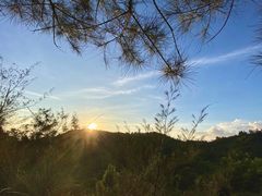 -广东惠东海龟国家级自然保护区