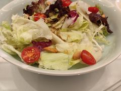 蔬菜色拉-星晨酒店(五角场店)