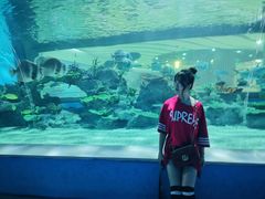 -常州海昌海洋探索馆
