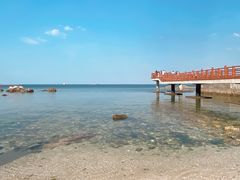 -养马岛旅游度假区