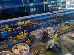 -三个渔夫蒸汽海鲜(南磨房路店)