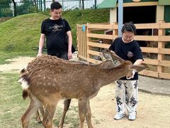 -盈香心动乐园