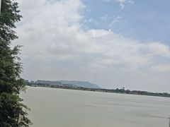 -八仔大富楼·河鲜(西江店)