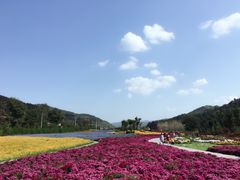-玉华宫景区