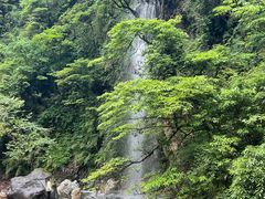 -西岭雪山大飞水景区