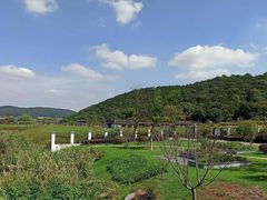 -龙寺生态园