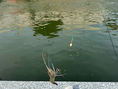 -DGE季风钓虾营地·团建·聚会