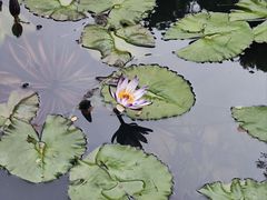-云溪植物园