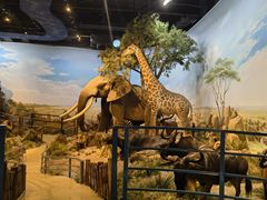 -陕西自然博物馆