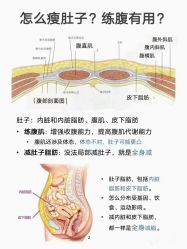 点击看大图 -昕孕瑜伽·孕妇瑜伽·产后修复