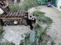 -杭州动物园