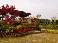 -上海长兴岛郊野公园