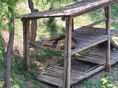 -石家庄市动物园