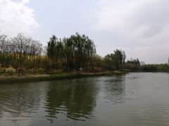 -大兴滨河森林公园