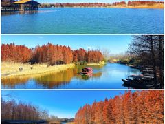 -溱湖国家湿地公园