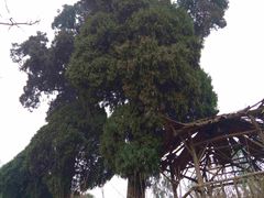 -西岭雪山大飞水景区