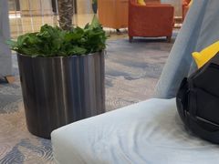 -逸派咖啡 EPARKCOFFEE(广安门店)