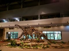 -自贡恐龙博物馆